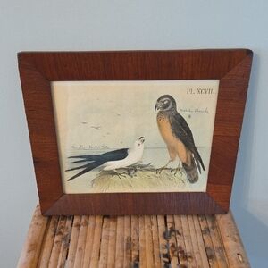 Framed Bird Art Print with Brown Frame